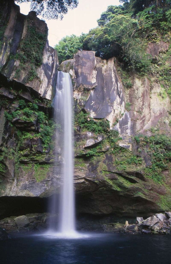 【出雲市駅・松江駅・安来駅・米子駅発】 思い出のハネムーンin宮崎・南霧島3日間3